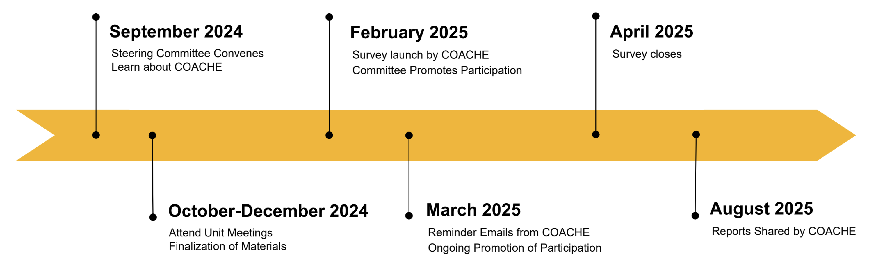 COACHE Timeline with arrow pointing forward